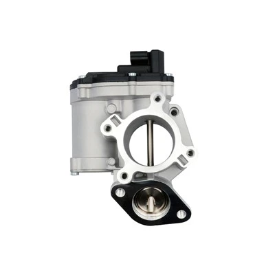 82 00 796 674 Valv EGR tal-Kwalità OE għall-Pjattaformi tad-Diżil RENAULT ERA:555212